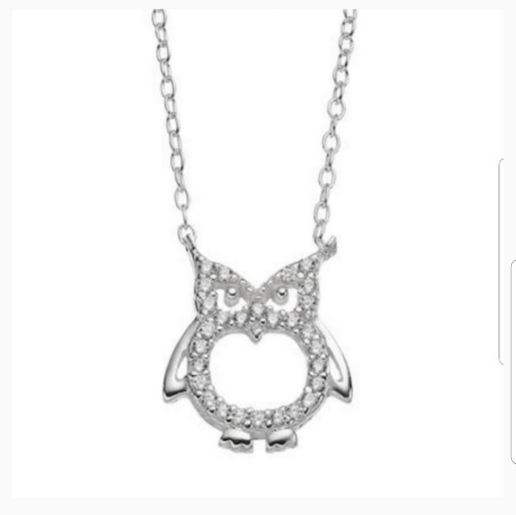 Sterling Silver Owl Necklace